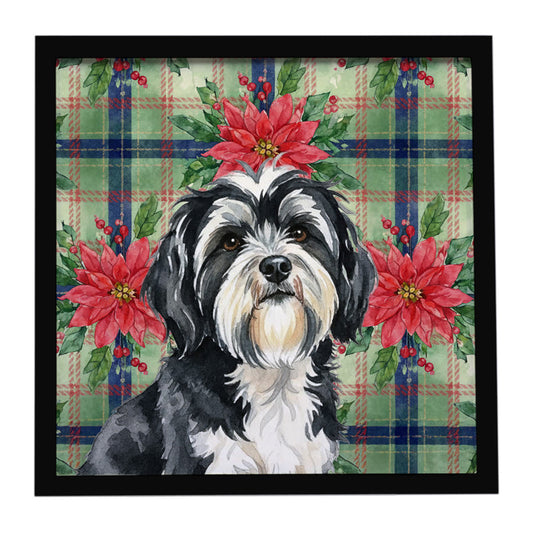 Buy this Black and White Tibetan Terrier Christmas PoinsettIas Framed Metal Print