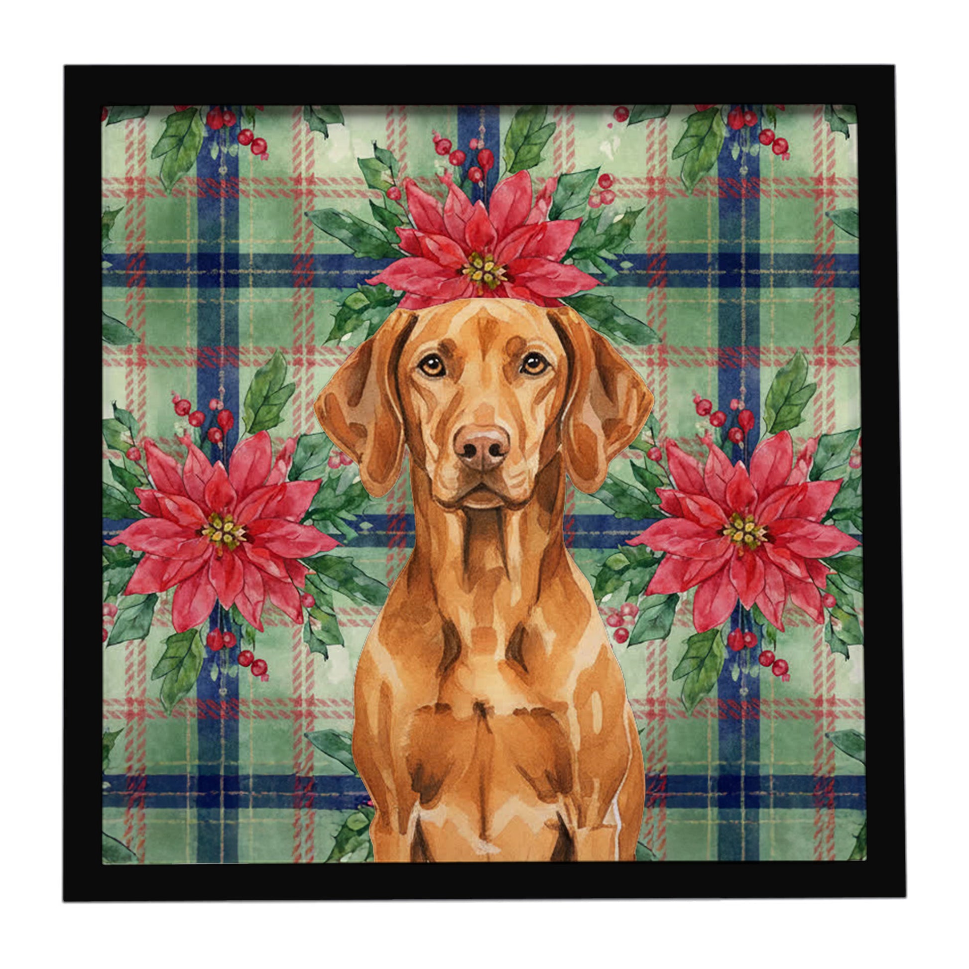 Buy this Vizsla Christmas PoinsettIas Framed Metal Print
