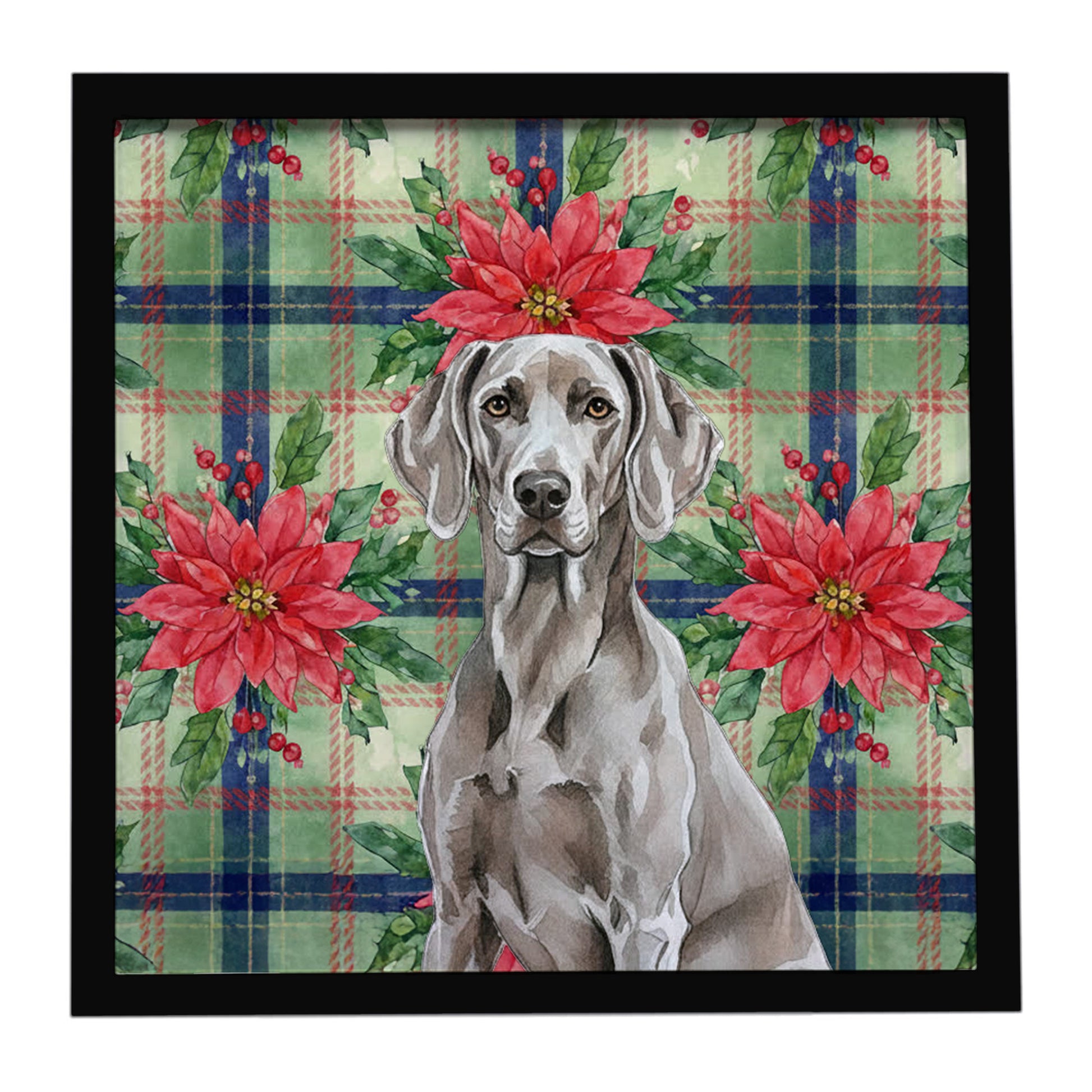 Buy this Weimaraner Christmas PoinsettIas Framed Metal Print