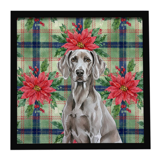 Buy this Weimaraner Christmas PoinsettIas Framed Metal Print