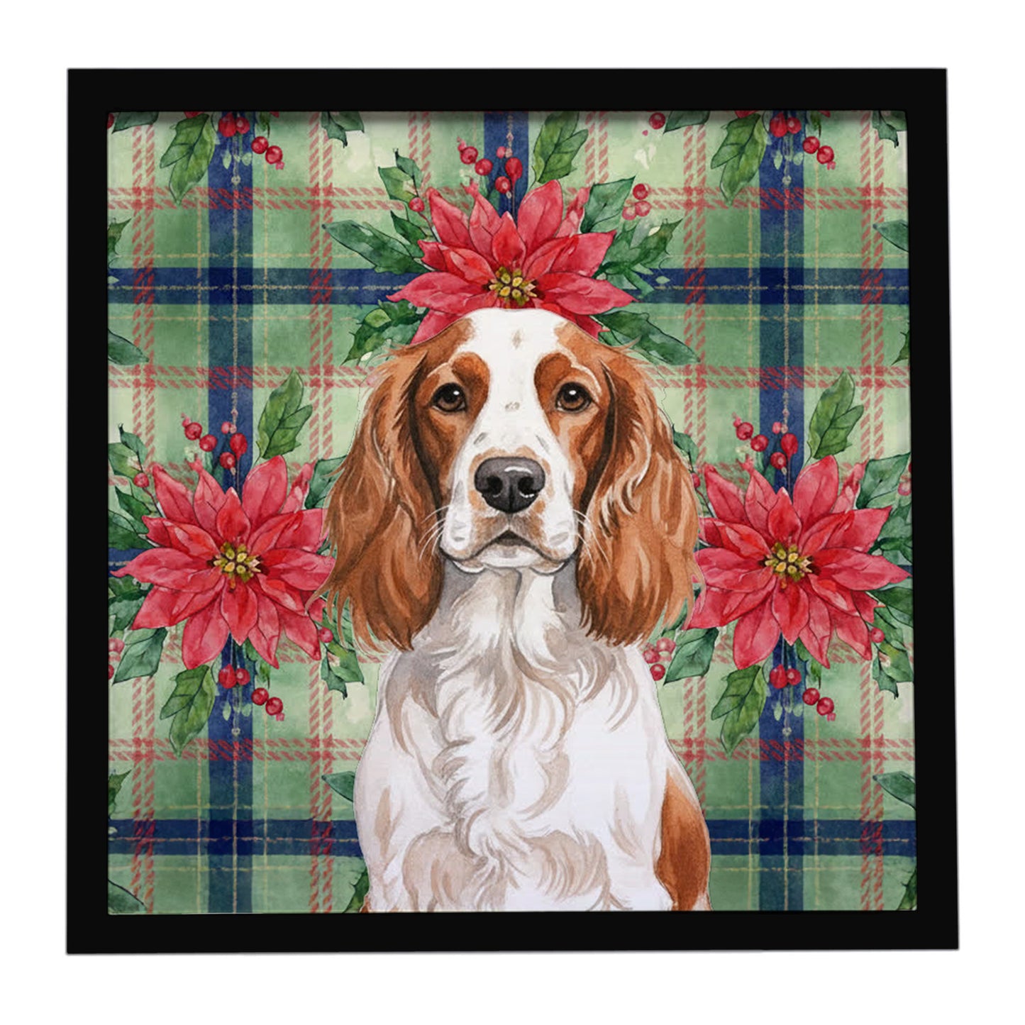 Buy this Welsh Springer Spaniel Christmas PoinsettIas Framed Metal Print