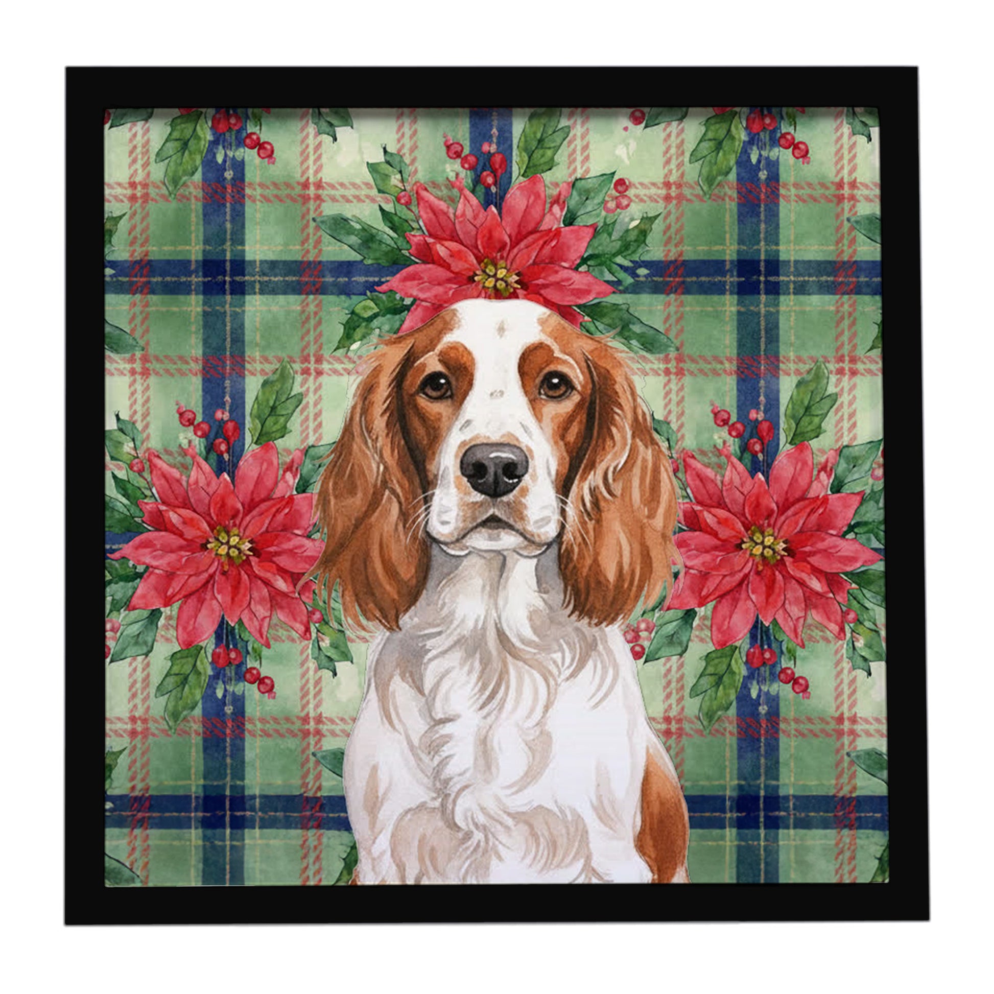 Buy this Welsh Springer Spaniel Christmas PoinsettIas Framed Metal Print
