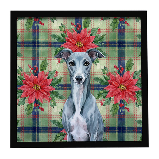 Buy this Blue Whippet Christmas PoinsettIas Framed Metal Print