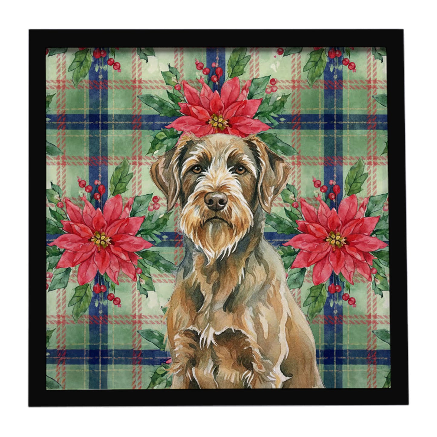 Buy this Chestnut Wirehaired Pointing Griffon Christmas PoinsettIas Framed Metal Print