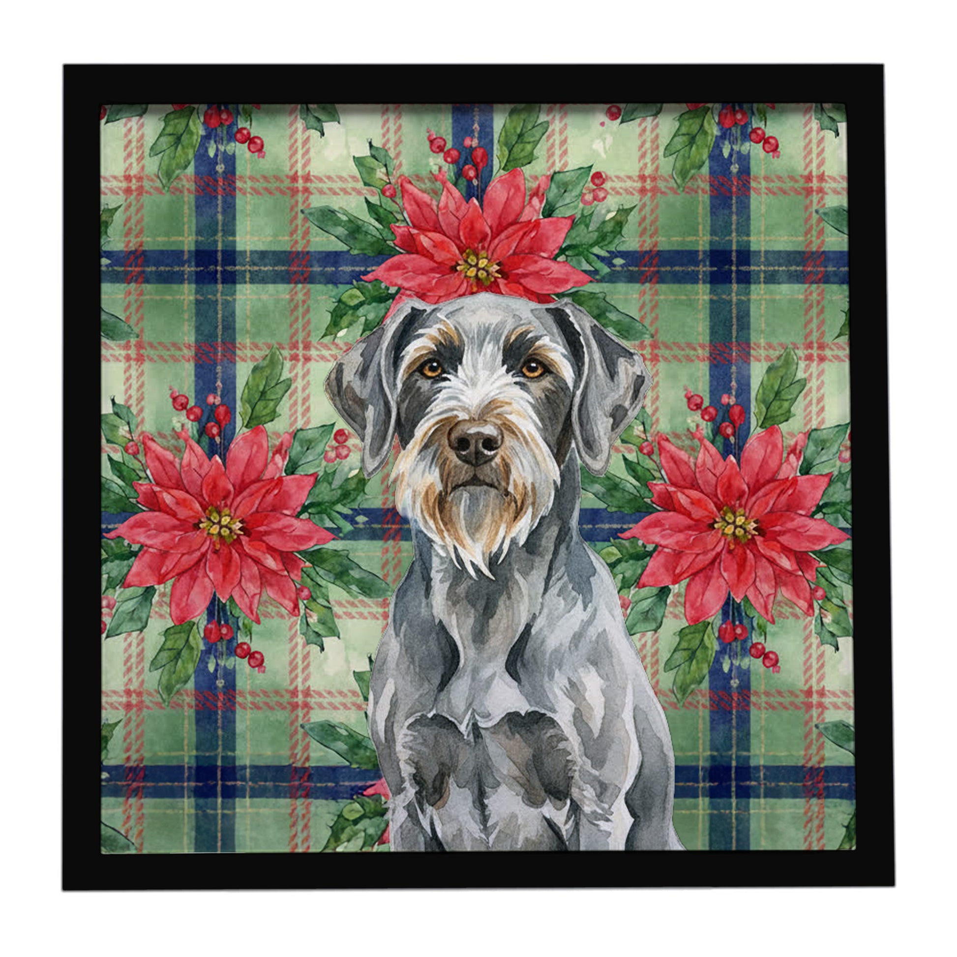 Buy this Steel Gray Wirehaired Pointing Griffon Christmas PoinsettIas Framed Metal Print