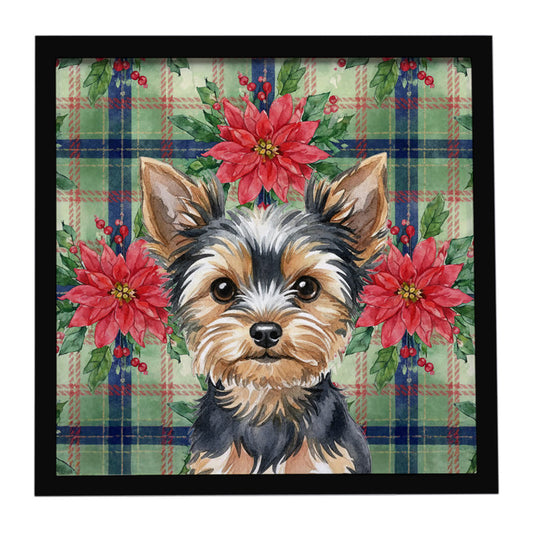 Buy this Black and Tan Yorkshire Terrier Christmas PoinsettIas Framed Metal Print