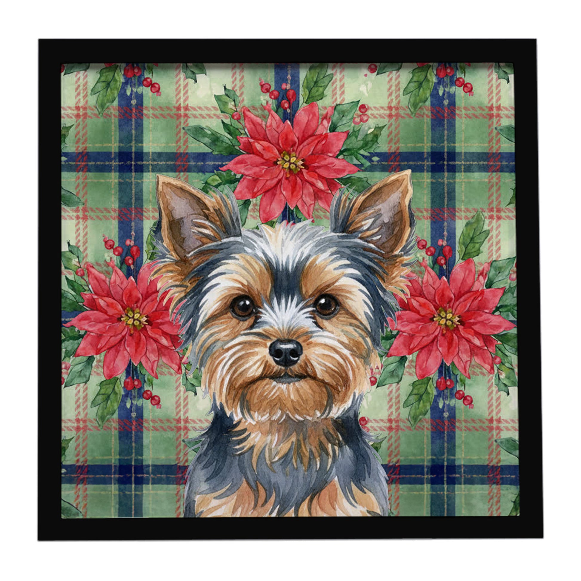 Buy this Blue and Tan Yorkshire Terrier Christmas PoinsettIas Framed Metal Print