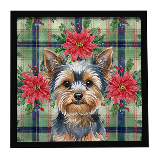 Buy this Blue and Tan Yorkshire Terrier Christmas PoinsettIas Framed Metal Print